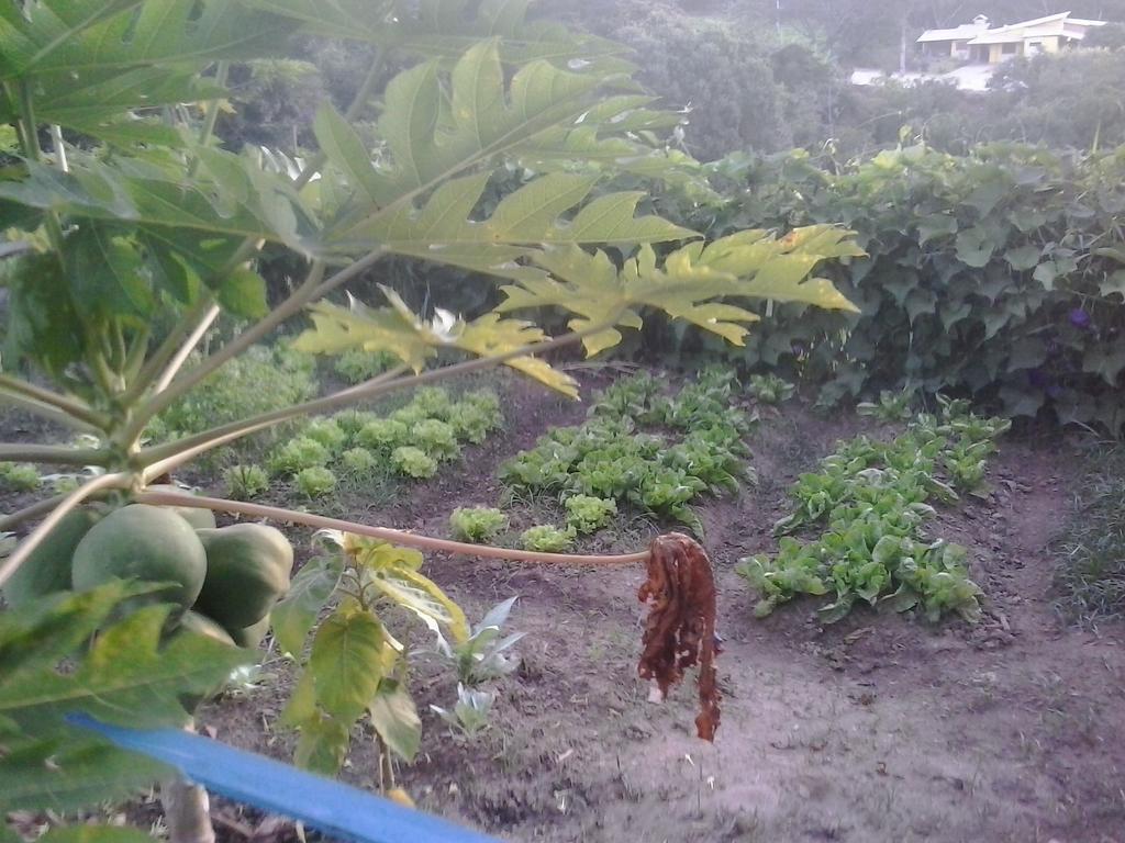 Pousada Complexo Cantagalo São Tomé das Letras エクステリア 写真